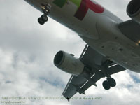 z^`ɉ TAP PORTUGAL A320 BeꏊFHORTA A\[X(HOR)A|gK(PORTUGAL)
